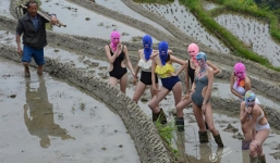 Dàn chân dài mặc bikini 'đọ' đường cong trên… ruộng