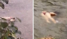 Vụ cô gái mặc nội y chết dưới suối: Nhiều tình tiết lạ
