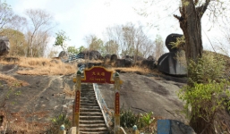 Sự thật tin đồn bạch xà khổng lồ hiện hình dọa Trưởng Công an xã