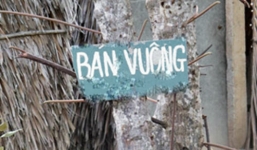 Chuyện lạ sau cái chết bí ẩn của 3 thanh niên ở đầm tôm