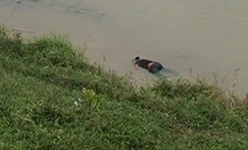 Phát hiện thi thể người đàn ông quấn dây kẽm trên sông