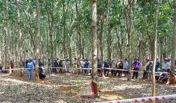 Hoảng hồn phát hiện thi thể thiếu nữ trong rừng cao su