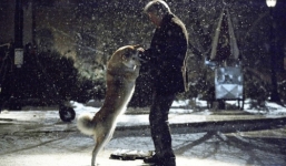  Rớt nước mắt vì lòng trung thành tuyệt đối của chú chó Hachiko