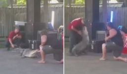 Du khách hoảng sợ chứng kiến cá sấu 'khổng lồ' tấn công huấn luyện viên