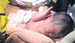 Kỳ diệu chú chó hoang giải cứu bé sơ sinh bị bỏ rơi khỏi đàn chó dữ