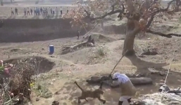 Video: Người đàn ông dùng gậy 'quyết chiến' với báo hoang