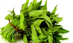 Hiểm họa 'chết người' từ rau muống 