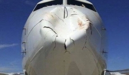 Máy bay Boeing móp mũi vì đâm phải một con chim 