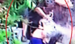 Video: Bức xúc nhóm người xé quần, trói, đánh phụ nữ bất tỉnh