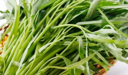 Cách nhận biết dễ dàng rau muống nhiễm độc chì bằng mắt thường