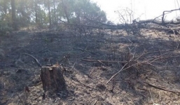 Hoảng hồn phát hiện hai người đàn ông cháy đen trong rừng