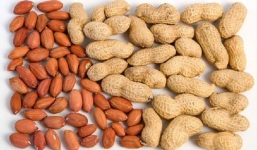 Những đối tượng tuyệt đối không được ăn lạc