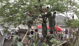 Thanh niên khỏa thân đánh đu trên cây khiến 100 cảnh sát 'mướt mồ hôi'