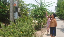 Công nhân sửa cáp quang chết thảm khi đang trèo cột điện