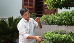 Đại gia chăn vịt Nghệ An thắp nghìn bóng đèn biệt thự 32 phòng 