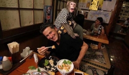 Video: Khỉ làm phục vụ bàn cực kì đáng yêu