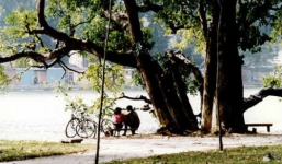 Sự thực về khả năng se duyên siêu phàm của “cô Chín” Hồ Gươm và ghế vua trăm tuổi