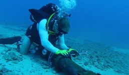 Cáp quang sẽ được khôi phục trong vài ngày tới