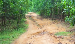 Rợn người làng 'ma ám' ở Quảng Nam: Ám ảnh sự trừng phạt