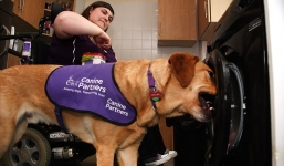 Chú chó thông minh giúp chủ giặt quần áo, bật ti vi