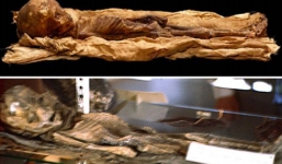 Giải mã sự thật về hình ảnh người ngoài hành tinh gây xôn xao