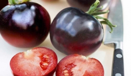 Cà chua đen đại gia 140 nghìn/kg: Dân Việt xếp hàng không mua nổi