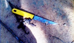 Bị chửi là 'lũ ăn cắp” một nam sinh dùng dao đâm chết hàng xóm