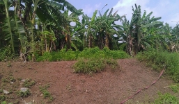 Uẩn khúc sau việc gia đình từ chối lo hậu sự người chết