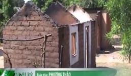 Clip: 37 người chết chỉ vì một con bò