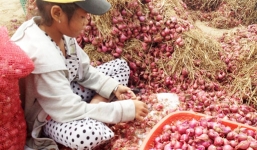 Sự thật '600 người bị mù mắt' ở Sóc Trăng