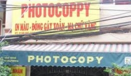 'Trí thức giả mà có địa vị xã hội thì cực kỳ nguy hiểm'