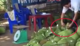 Rùng mình cảnh tiêm chất lạ vào mít ở Đồng Nai