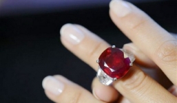 Cận cảnh viên hồng ngọc 'huyết bồ câu' cực hiếm có giá kỷ lục