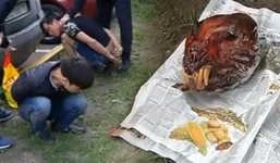 Video: Hai người Việt ở Nga bị bắt vì buôn thịt hổ Amur quý hiếm