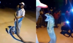 Clip: Đùa giỡn với hổ mang chúa dài “khủng” giữa phố