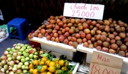 Nguy hại khôn lường từ hoa quả đầu mùa giá rẻ