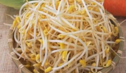 Công dụng chữa bệnh 'thần kỳ' của giá đỗ trong mùa hè 