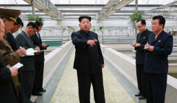 Kim Jong-un nổi giận vì trại rùa không nuôi được tôm