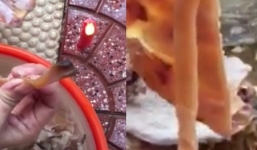 Clip: Mực khô xé không đứt, ngâm nước giãn nở gấp nhiều lần gây hoang mang