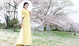 Henri Hubert với lụa mong manh dưới tán hoa anh đào