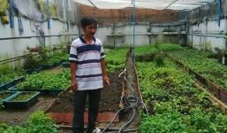 Độc nhất Việt Nam: Ngồi ở Hà Nội tưới rau tận TP.HCM