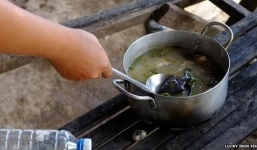 Video: Cá sắt - món ăn mới của người Campuchia