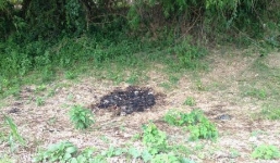 Hoảng hồn giây phút phát hiện xác thanh niên trên sông