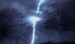 Video: Cách phòng tránh dông sét vào mùa mưa