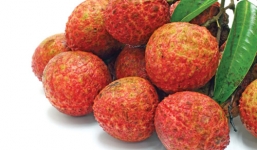 Quan niệm sai lầm khi ăn hoa quả vào mùa hè gây hại sức khỏe