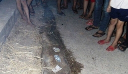 Xác cá mái chèo dài 4m, nặng 30kg trôi dạt vào bờ biển Hà Tĩnh