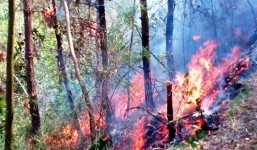 Hàng chục ha rừng cháy dữ dội dưới trời nóng 40 độ C tại Thanh Hóa