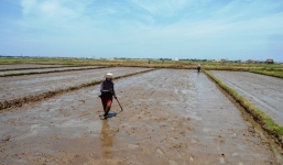 Nắng nóng gay gắt, nhiều nơi trên 40 độ C