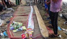 Cá mái chèo 'khủng' lại dạt vào bờ biển Quảng Bình