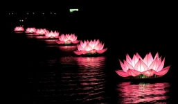 Cận cảnh 7 đóa sen khổng lồ trên sông Hương mừng Đại lễ Phật đản
